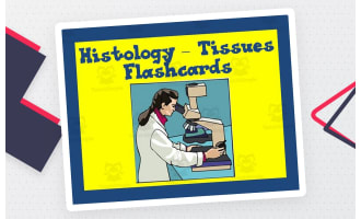 Histology Tissues Flashcards