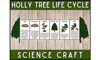 Holly Tree Life Cycle Craft Foldable Science Cut and Paste Activity