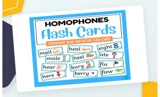 Homophone Flash Cards