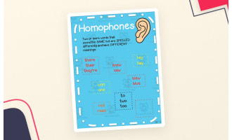 Homophones Anchor Chart – 4th Grade ELA