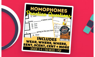 Homophones Practice Questions - Vocabulary Grade 3-4 (PDF)