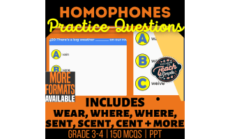 Homophones Practice Questions - Vocabulary Grade 3-4 (PPT)