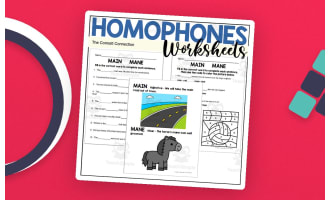 Main vs Mane Homophones – Worksheet Practice