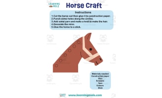 Horse Activity