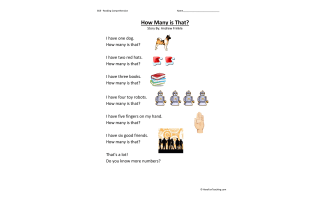 How Many Is That Reading Comprehension Worksheet