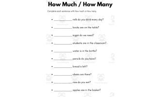 how much how many exercises for beginners