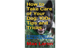 How to Take Care of Your Dog: 100+ Tips and Tricks