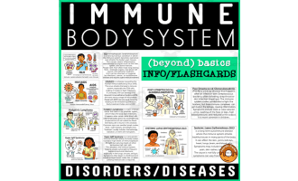 Human Body Flashcard Immune System Disorders Diseases Health