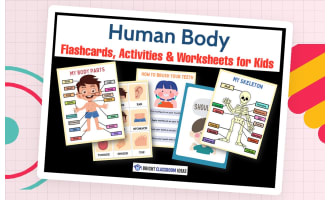Human Body Flashcards, Activities & Worksheets for Kids