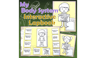 Human Body System and Some Main Organs Lapbook