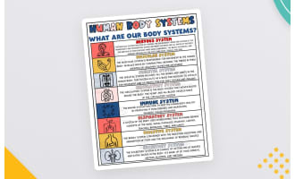 Human Body Systems Printable – Visual Reference