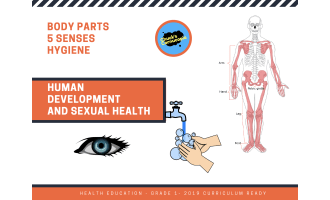 Human Development and Sexual Health: Body Parts 5 Senses Hygiene
