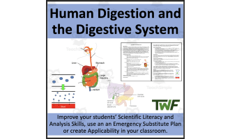 Human Digestion and the Digestive System-Reading Comprehension Article