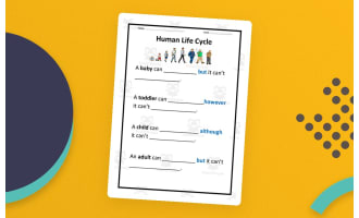 Human Life Cycle Worksheet – Reflection & Stages