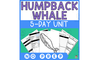 Humpback Whale Unit Study (Ocean Animals Lesson Plan, Videos, Activities)
