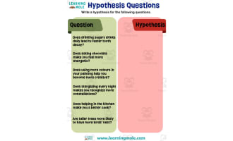Hypothesis Questions Activity