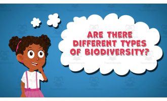 I WONDER - Are There Different Types Of Biodiversity | Animated Video