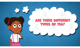 I WONDER - Are There Different Types Of Tea | Animated Video Lesson