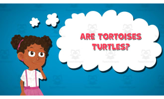 I WONDER - Are Tortoises Turtles | Animated Video Lesson