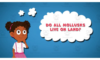 I WONDER - Do All Mollusks Live On Land | Animated Video Lesson