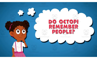 I WONDER - Do Octopi Remember People | Animated Video Lesson