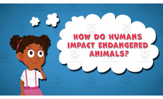 I WONDER - How Do Humans Impact Endangered Animals | Animated Video