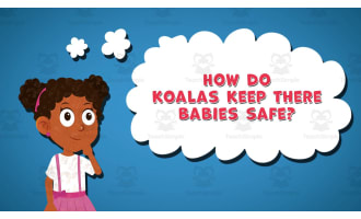 I WONDER - How Do Koalas Keep There Babies Safe | Animated Video