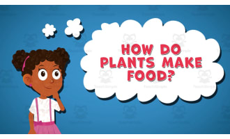 I WONDER - How Do Plants Make Food | Animated Video