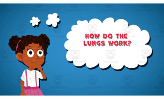 I WONDER - How Do The Lungs Work | Animated Video Lesson