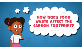 I WONDER - How Does Food Waste Affect The Carbon Footprint