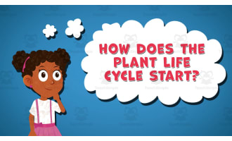 I WONDER - How Does The Plant Life Cycle Start | Animated Video Lesson
