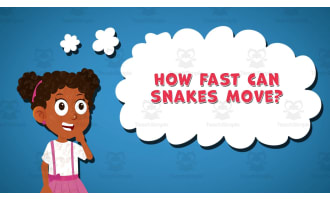 I WONDER - How Fast Can Snakes Move | Animated Video Lesson