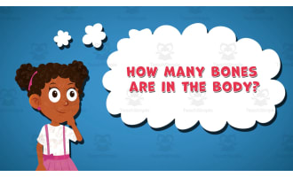I WONDER - How Many Bones Are In The Body | Animated Video Lesson