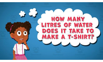 I WONDER - How Many Litres Of Water Does It Take To Make A T-Shirt
