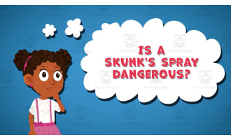 I WONDER - Is A Skunk's Spray Dangerous | Animated Video Lesson