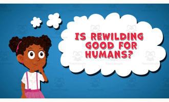 I WONDER - Is Rewilding Good For Humans | Animated Video Lesson