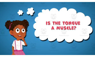 I WONDER - Is The Tongue A Muscle | Animated Video Lesson
