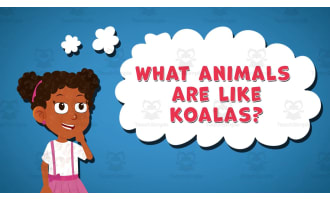 I WONDER - What Animals Are Like Koalas | Animated Video Lesson