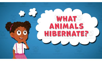 I WONDER - What Animals Hibernate | Animated Video Lesson