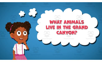 I WONDER - What Animals Live In The Grand Canyon | Animated Video