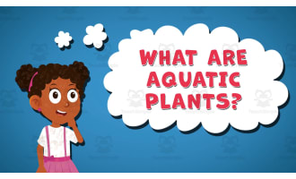 I WONDER - What Are Aquatic Plants | Animated Video Lesson