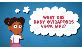I WONDER - What Did Baby Oviraptors Look Like | Animated Video Lesson