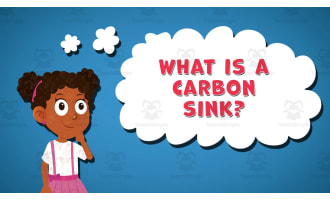 I WONDER - What Is A Carbon Sink | Animated Video Lesson