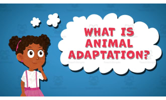I WONDER - What Is Animal Adaption | Animated Video Lesson