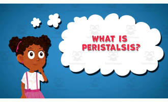 I WONDER - What Is Peristalsis | Animated Video Lesson