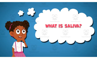I WONDER - What Is Saliva | Animated Video Lesson