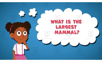 I WONDER - What Is The Largest Mammal | Animated Video Lesson