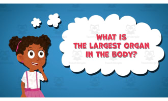 I WONDER - What Is The Largest Organ In The Body | Animated Video