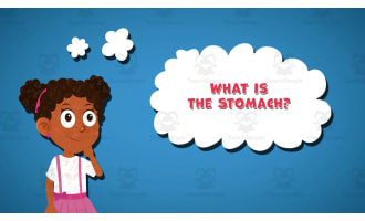 I WONDER - What Is The Stomach | Animated Video Lesson