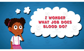I WONDER - What Job Does Blood Do | Animated Video Lesson
